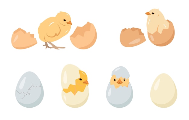 Chicken eggs and chicks baby birds collection Chickens farm or Easter icons isolated on white