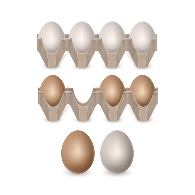 Chicken eggs in realistic style Fresh brown eggs in paper box vector format