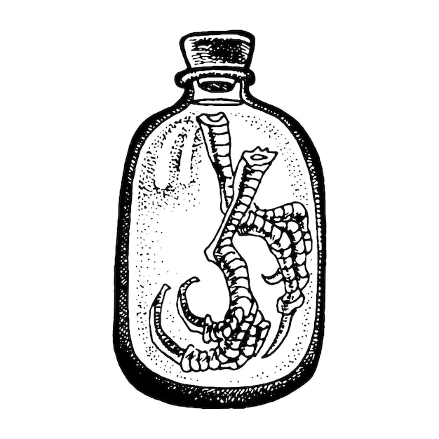 Chicken feet in jar ingredient for making potion witch accessory