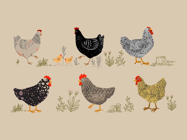 Vector chicken hen rooster character hand drawing vector illustration poultry farm birds animal design