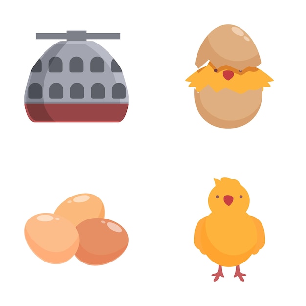 Vector chicken lifecycle stages illustration set