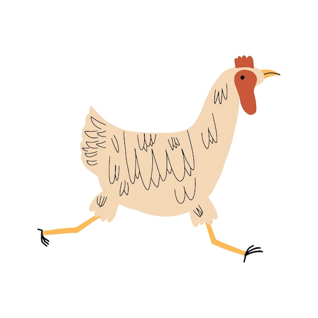 Chicken in motion Vector illustration in hand drawn style