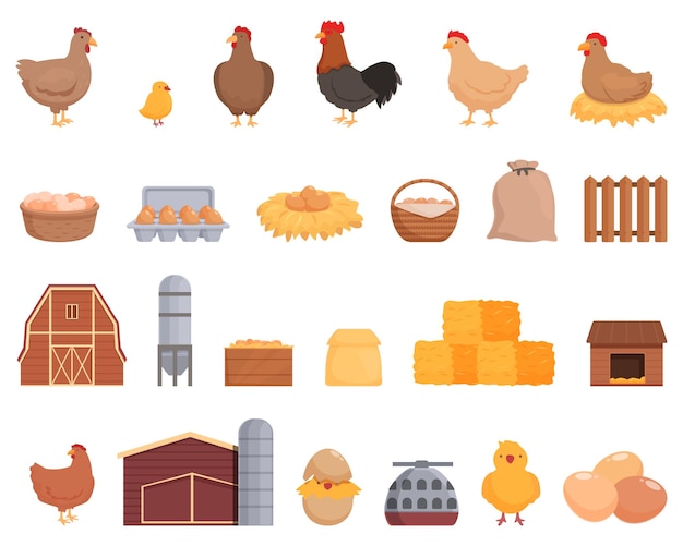 Chicken poultry farm icons set cartoon vector Feed production