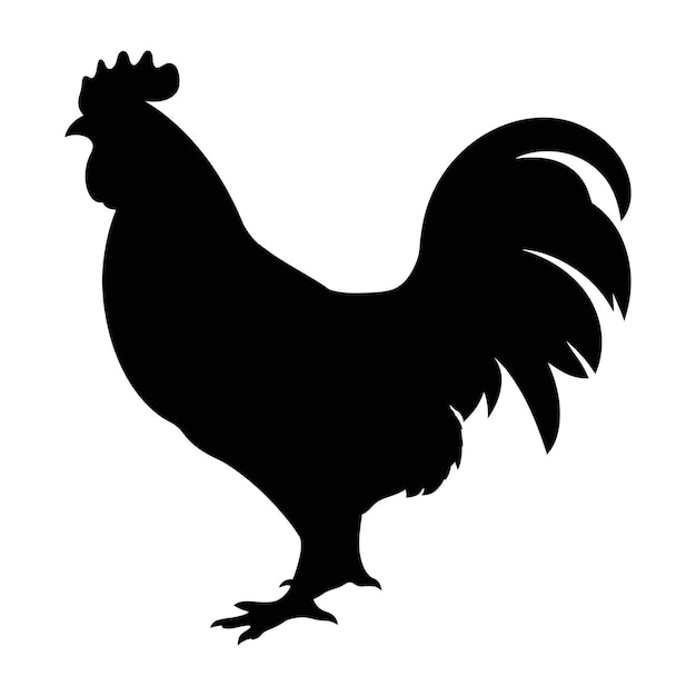 Vector chicken silhouette hen silhouette isolated vector illustration