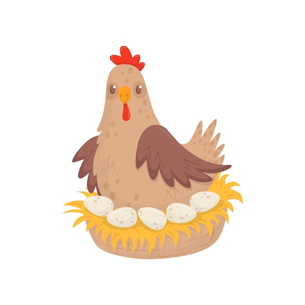 Chicken sitting in nest with eggs Domestic fowl Poultry farming theme Flat vector for advertising poster or banner