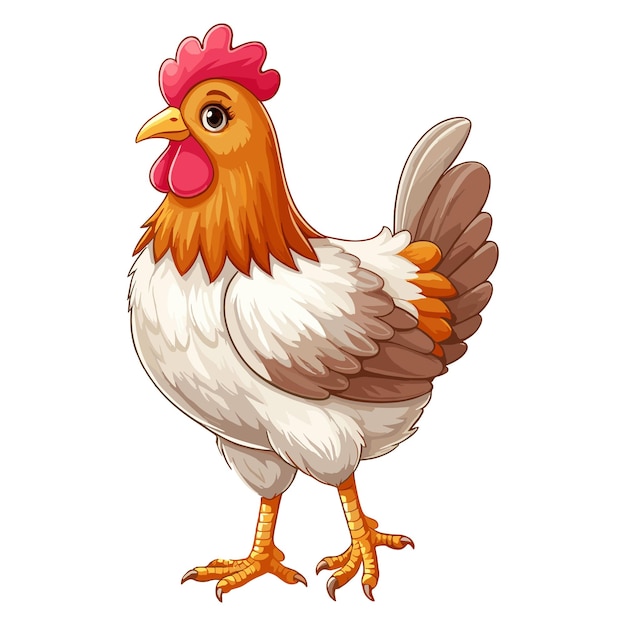 Chicken vector carton illustration