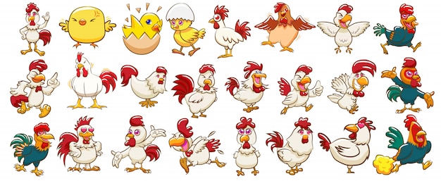 Chicken vector set clipart