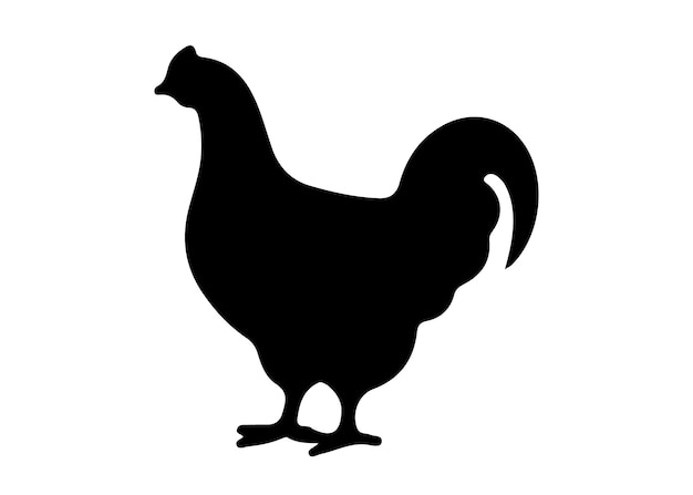 Chicken vector silhouette of hen chicken vector Illustration