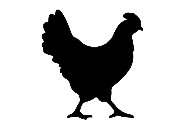 Chicken vector silhouette of hen chicken vector IllustrationChicken vector silhouette of hen chicken