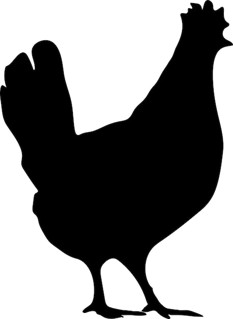 Chicken vector or silhouette