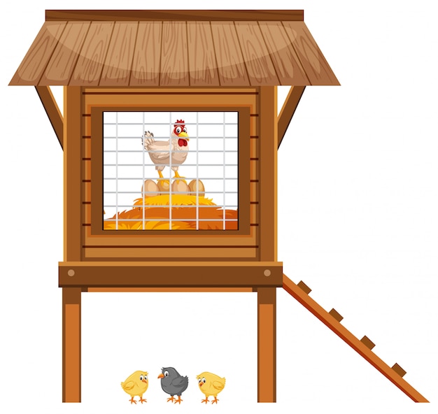 Vector chickens in the chicken coop on white background