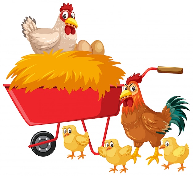 Chickens and hay on red wagon on white background