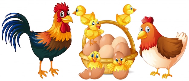 Chickens and little chicks with basket of eggs