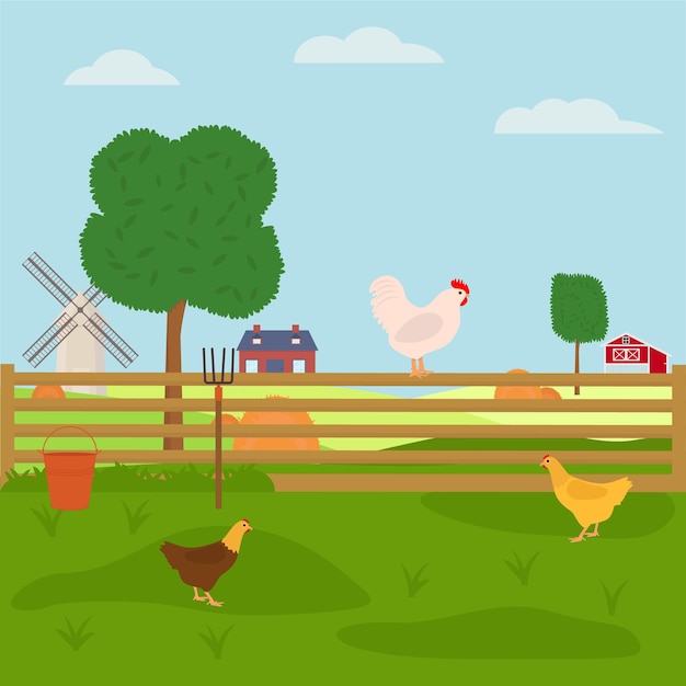 Chickens walking on the farm. Flat vector illustration