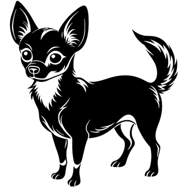 Chihuahua Black and white vector illustration