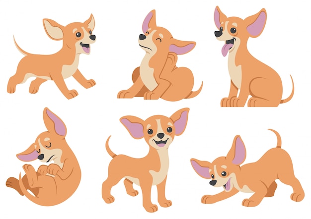 Chihuahua dog cartoon set