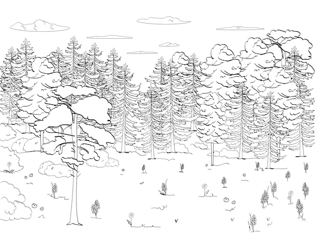 Children coloring black lines white background forest glade lots of trees set A lot of green nature