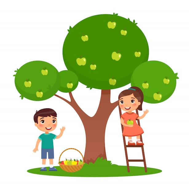 Children picking apples color flat  illustration. Little boy and girl harvesting fruits together. Sister on ladder and brother near apple tree in garden. Isolated cartoon characters on white