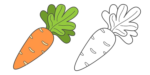 Children's coloring book carrot Coloring book with cute cartoon vegetable Vector illustration