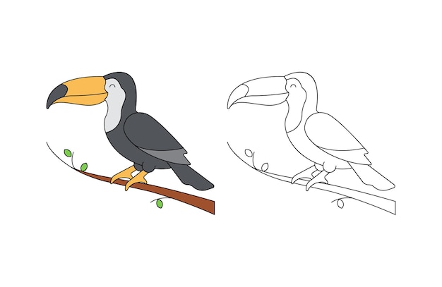 Children's coloring illustration with toucan vector template