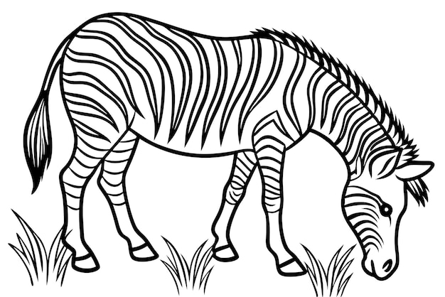 Vector childrens simple coloring book page zebra