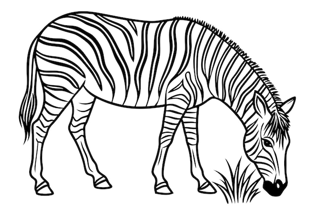 Vector childrens simple coloring book page zebra