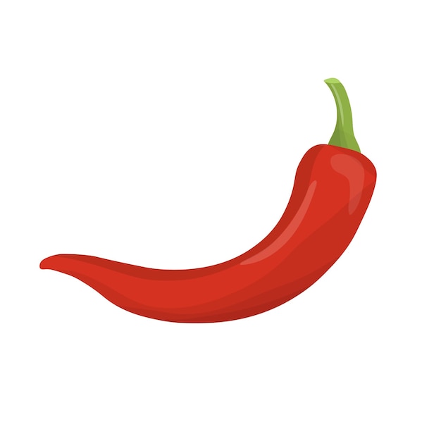 the chili pepper vegetable icon vector illustration