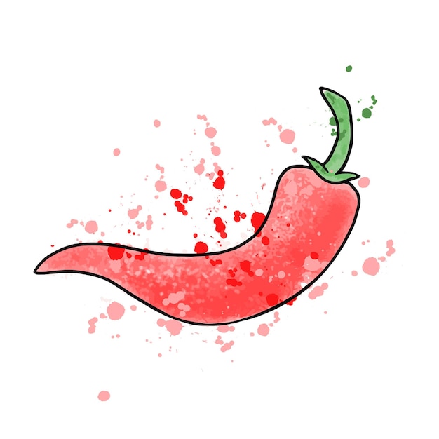 Chili pepper watercolor digital tracing illustration