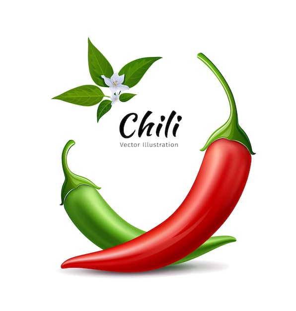 Chili peppers red and green fresh with leaves and flower chili