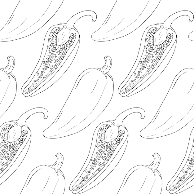 Chilli Pepper vector seamless pattern, isolated on white background.