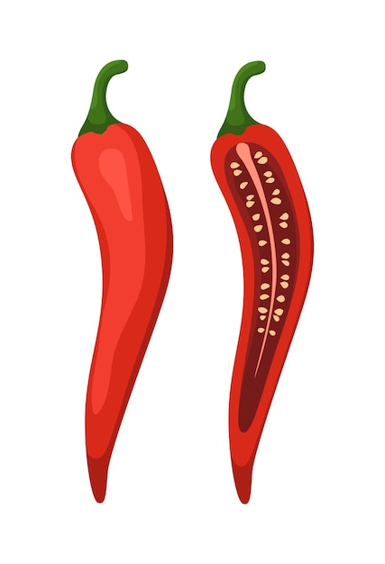 Chilli Red Fruit Vegetable Seasoning Vector