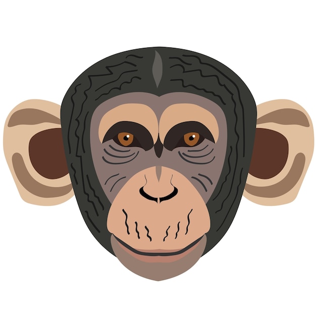 Chimpanzee head illustration flat style logo Cartoon image vector graphics