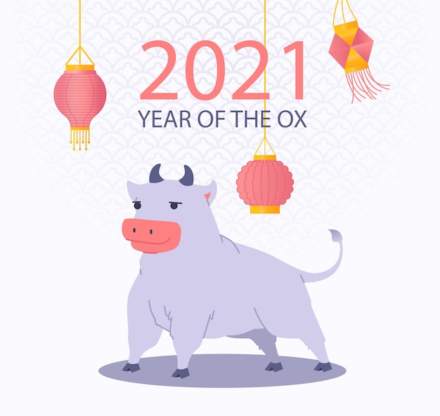 Chinese new year 2021 year of the ox poster with cartoon bull on traditional Chinese pattern and paper lantern