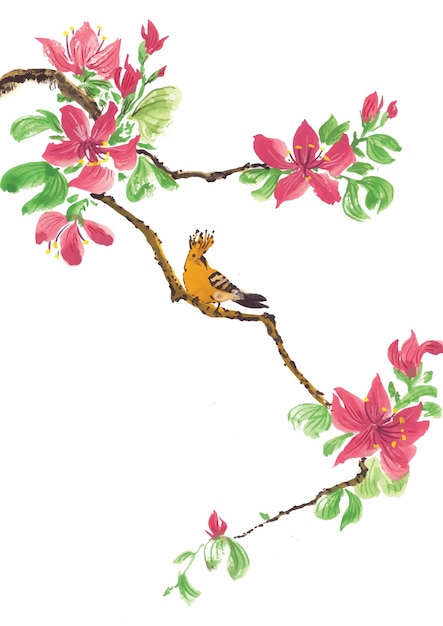 Chinese Painting Hoops Bird on The Branch of Red Orchid Tree Flowers