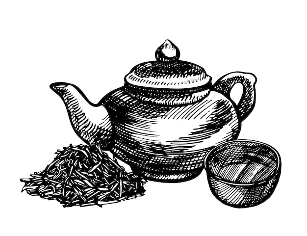 Chinese traditional teapod graphic handdrawn illustration vector