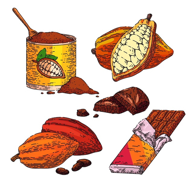 Chocolate cocoa set sketch hand drawn vector