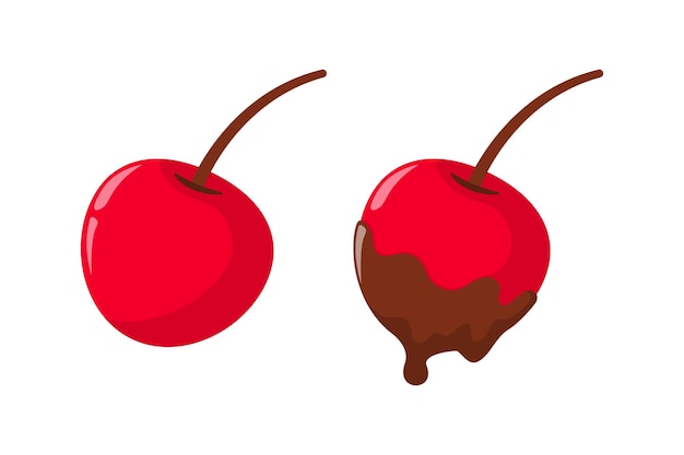 Chocolate dipped cherry fruit illustration design