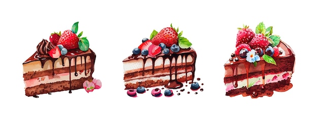 Chocolate and strawberry cake watercolor isolated on white background Bakery dessert food vector illustration