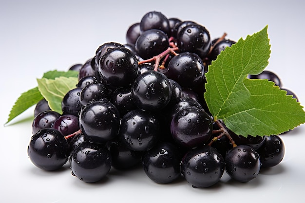 Chokeberry close up Black aronia berries