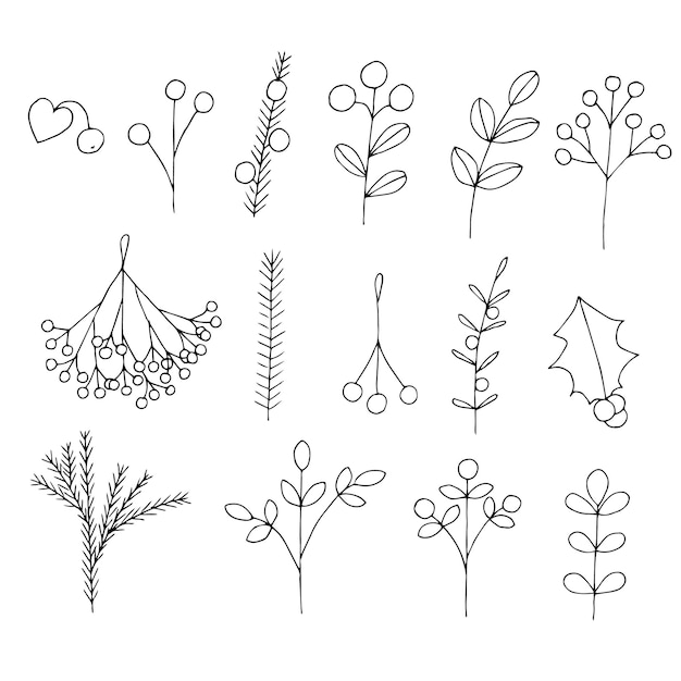 Christmas berries and plants set vector illustration hand drawing doodles