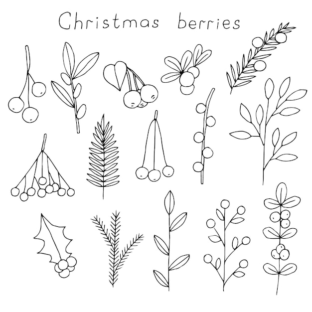 Christmas berries set vector illustration hand drawing doodles