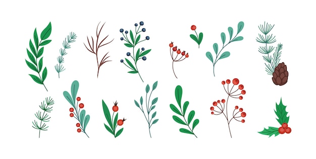 Christmas branch Holly twig Pine stems and cones Hand drawn winter plant sketch Mistletoe leaves and flowers Rowan berries Doodle floral botanical Vector illustration elements set