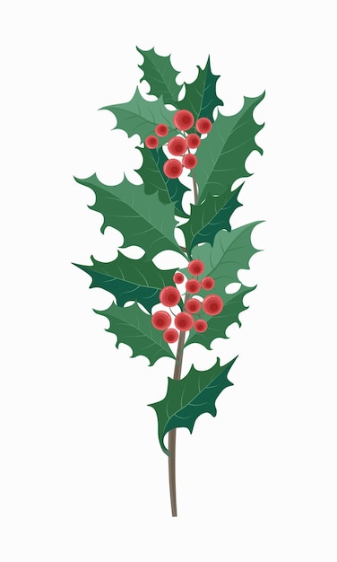 Christmas branch with red berries and green leaves