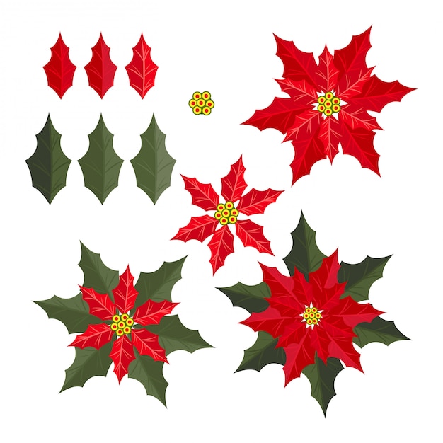 Vector christmas elements with set of poinsettia christmas flower.