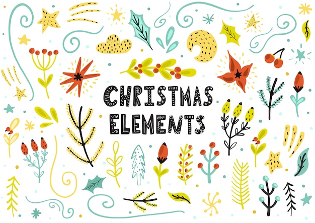 Christmas floral elements collection