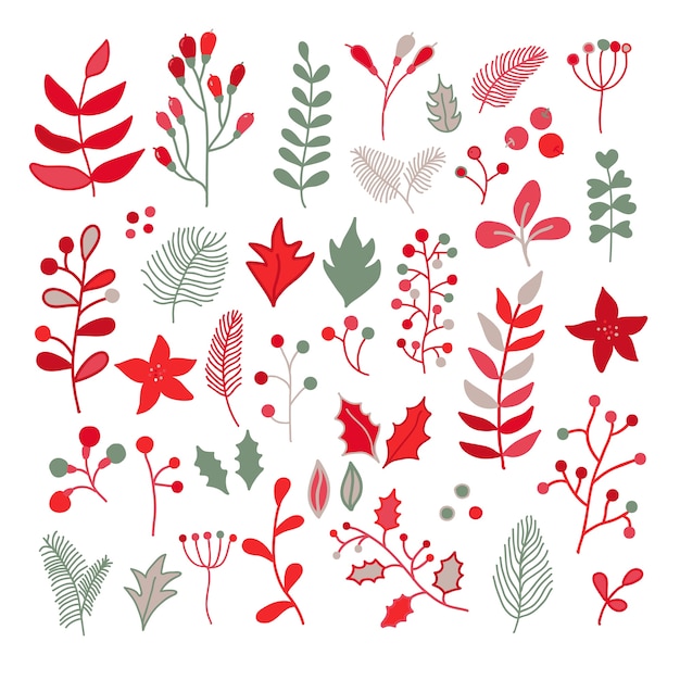 Christmas floral vector drawing set