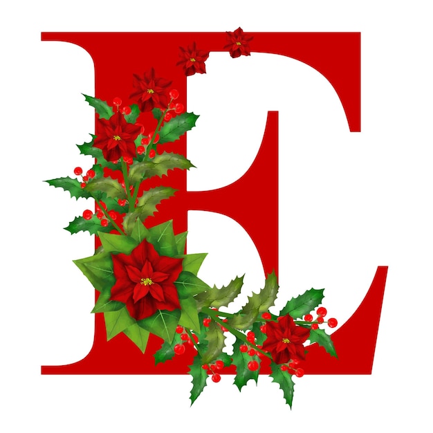 Christmas Flower Alphabet Vector illustration Isolated E