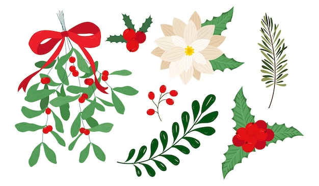 Vector christmas flower with berries. christmas holly, poinsettia.