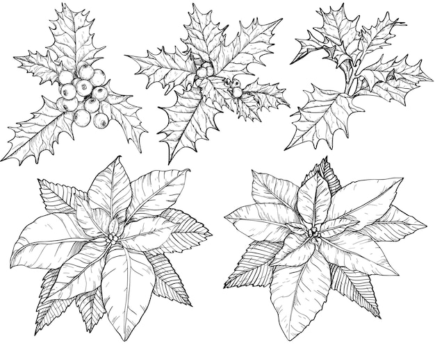 Christmas flowers set sketch Black and white