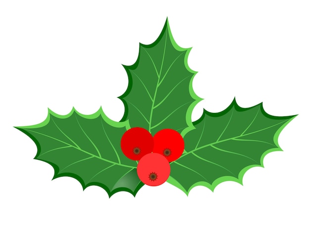 christmas holly berries stock vector